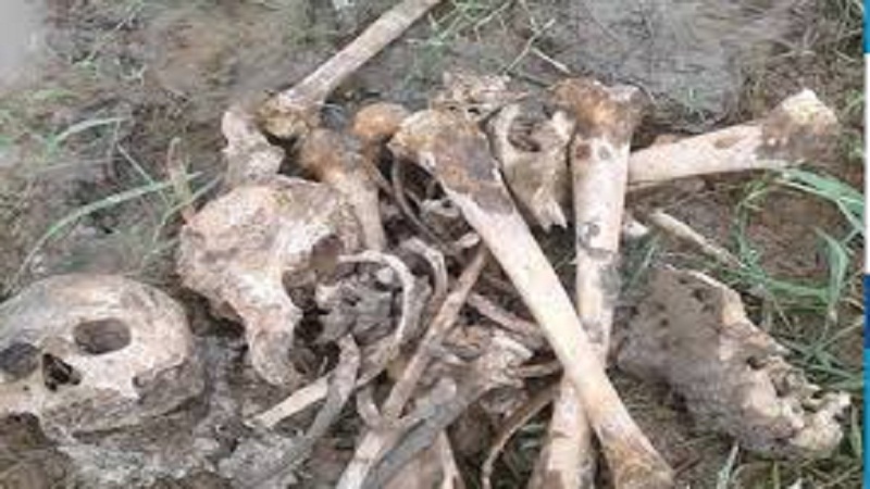 ঠাকুরগাঁওয়ের ভুল্লীতে আলুর বস্তার ভিতরে ৪ বস্তা ভর্তি মানুষের কংকাল উদ্ধার