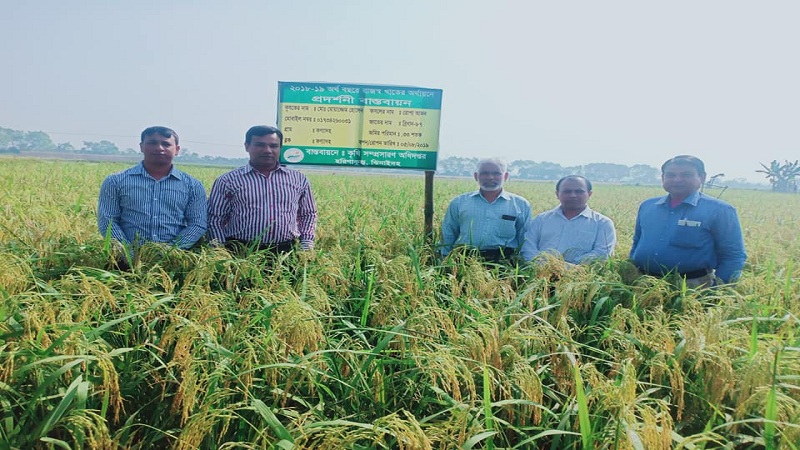 হরিণাকুণ্ডু উপজেলার বিভিন্ন কৃষি (জাইকা) কার্যক্রম পরিদর্শন