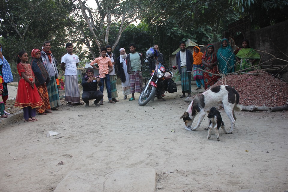 কুকুরের দুধ পান করে বড় হচ্ছে ছাগল ছানা