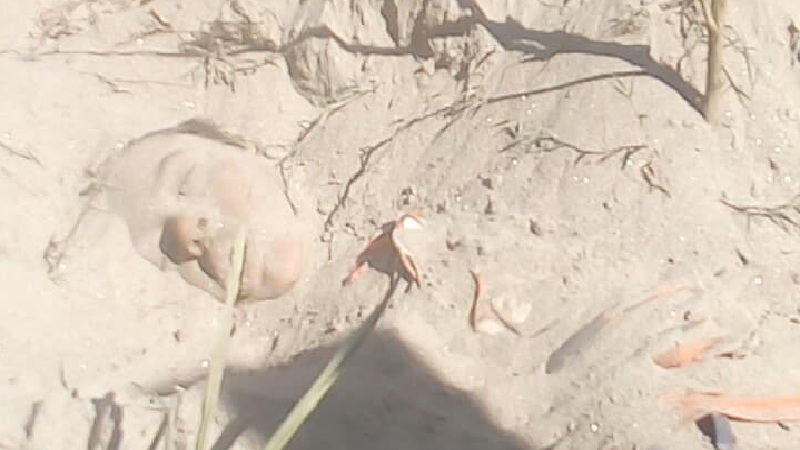 শ্রীপুরে বালুর স্তুপের নিচে এক শিশুর মৃত লাশ উদ্ধার।