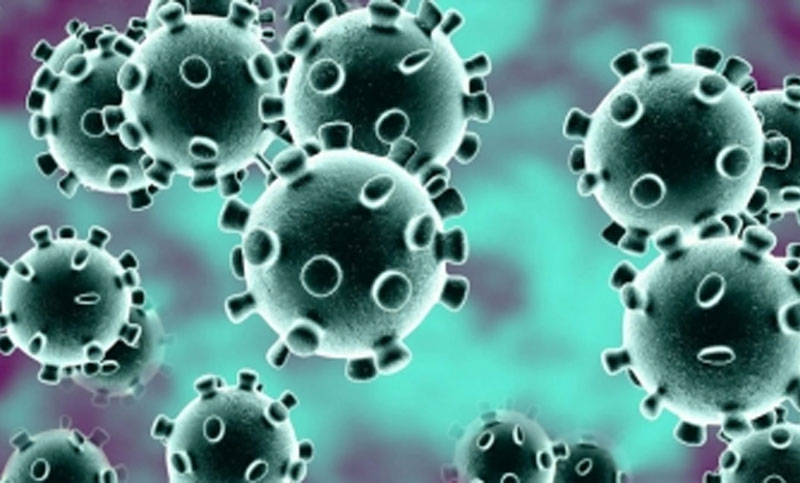 সাভারে বিদেশ ফেরত কোয়ারেন্টাইনে ৮ জনকে স্বাস্থ্য কমপ্লেক্সে রাখা হয়েছে।