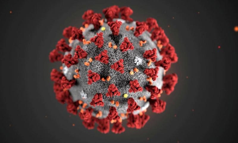 আইইডিসিআরের তথ্যকে মানুষ সন্দেহ করছে ,বিশিষ্টজনদের বিবৃতি