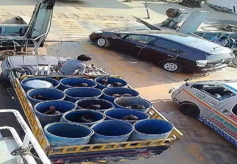 বাংলাদেশের মানুষ জীবনের ঝুঁকি নিয়ে মাছের ড্রামে বাড়ি যাচ্ছে