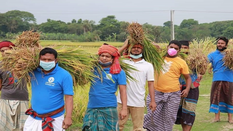 শার্শা উপজেলার ছাত্রলীগ আজ কাঁস্তে হাতে কৃষক বেশে”