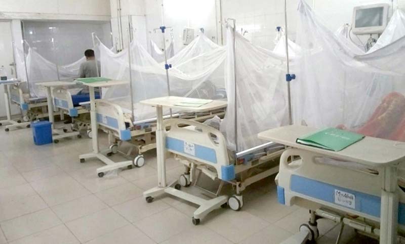 এক দিনে ১৯৪ জন ডেঙ্গু রোগী ভর্তি, ভাঙল আগের রেকর্ড