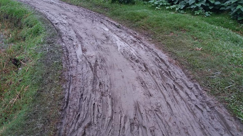 চিলাহাটিতে সামান্য বৃষ্টি হলেই মাষ্টার পাড়ার দুই হাজার মানুষের ভোগান্তি।