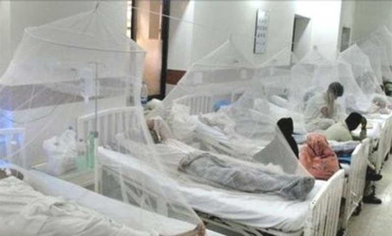 ডেঙ্গু আক্রান্ত আরো ২০৩ জন হাসপাতালে ভর্তি