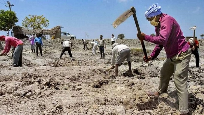 ঝিনাইদহ মৃত্তিকা গবেষণার তথ্য অনুযায়ী আবাদী জমির মাটিতে কমছে নাইট্রোজেন ফসফরাস ও পটাশিয়ামের পরিমান