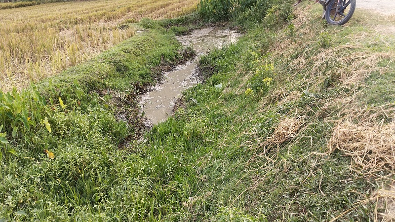 পাঁচবিবিতে পানি নিষ্কাশনের খাল ভরাট হওয়ায় ৭শ একর জমির ফসল চাষে বিঘ্ন