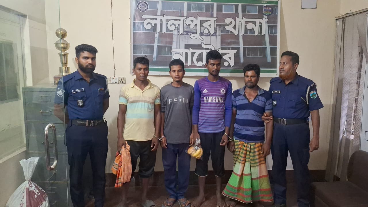 লালপুরে পদ্মার চরে যৌথ বাহিনীর অভিযান: ৪ জনের সাজা