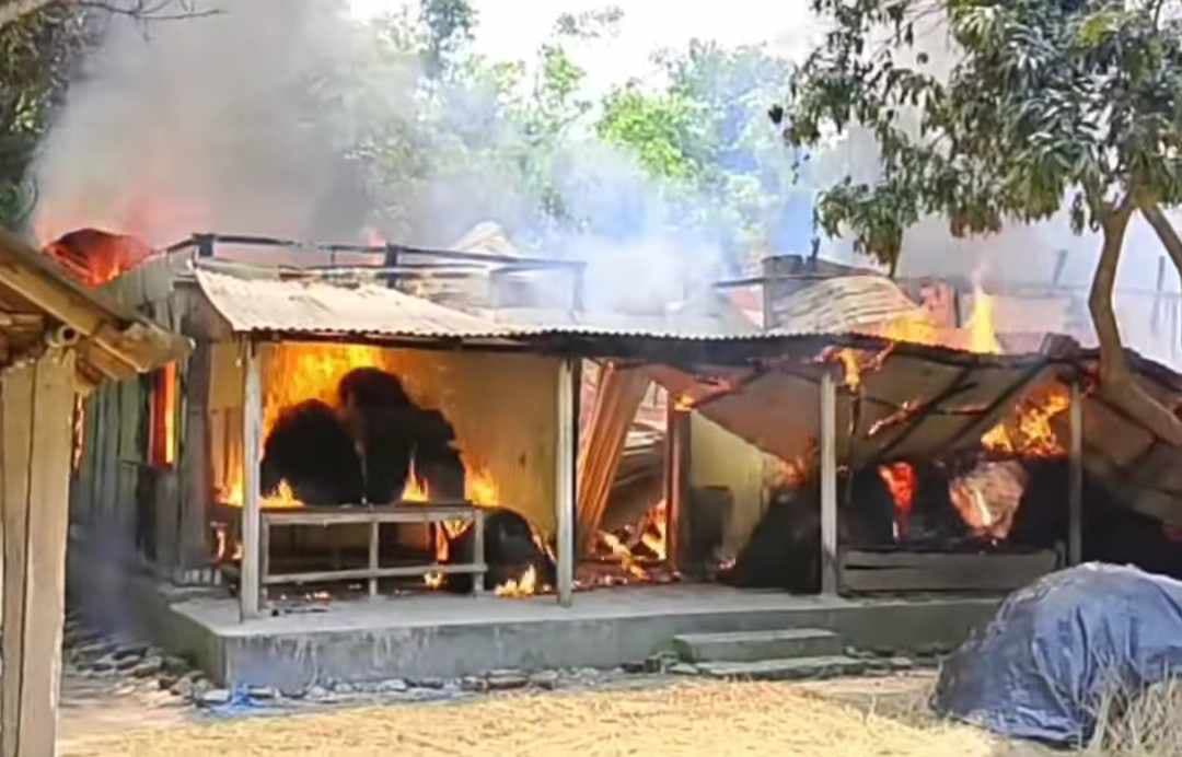 ধুনটে বৈদ্যুতিক শর্ট সার্কিটের আগুনে কৃষকের বসত বাড়ি পুড়ে ছাই