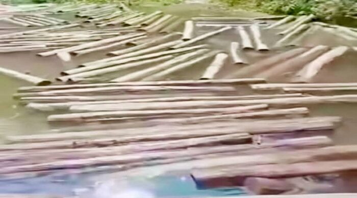 বান্দরবানের লামা উপজেলার ঝিরি পথে অবৈধভাবে কেটে রাখা সেগুন ও গামারী কাঠের স্তূপ এবং পাচারের অপেক্ষায়