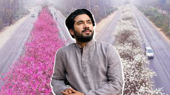 ঢাকা-ময়মনসিংহ মহাসড়কের ডিভাইডারে সাদা ও গোলাপি ক্যাসিয়া রেনিজেরা ফুলে ছেয়ে যাওয়া একটি সুন্দর দৃশ্য।