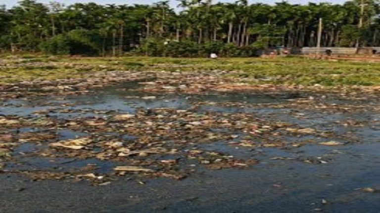 উখিয়ার কৃষি কি তবে বর্জ্যের তলায় হারিয়ে যাবে?