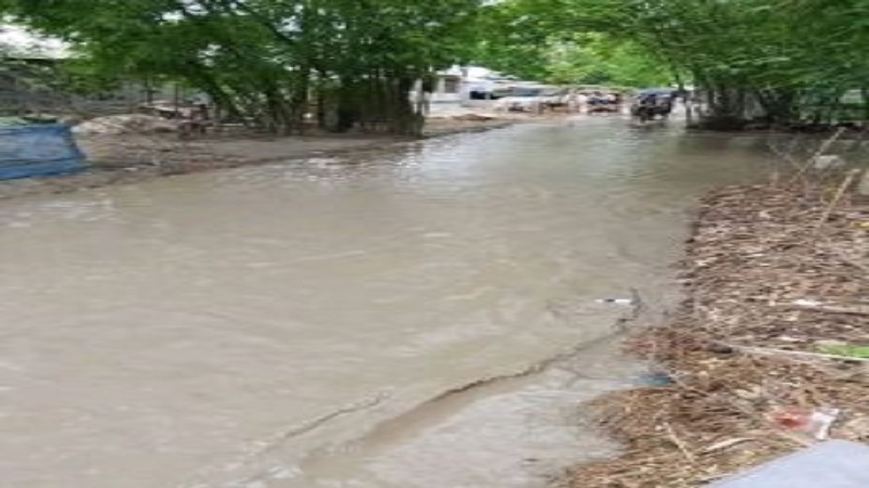সামান্য বৃষ্টিতেই শেরপুরের খামারকান্দি সড়কে জলজট, দুর্ভোগে তিন শিক্ষাপ্রতিষ্ঠানের শিক্ষার্থীরা